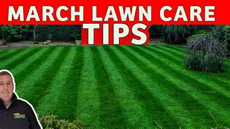 A cheap easy way to make your lawn green | diy lawn care for beginners - YouTube