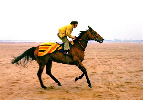 The unseen Red Rum – in pictures | Sport | The Guardian Equestrian Art, Equine Photographer ...