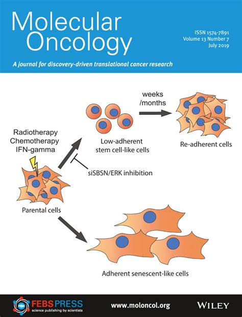 Molecular Oncology: Vol 13, No 7