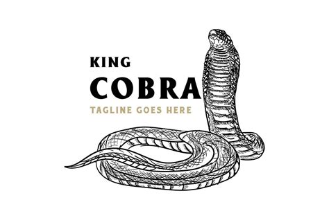 Vintage Hand Draw King Cobra or Black Mamba Snake for Tattoo Logo ...