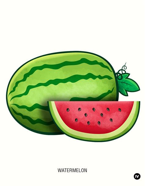 Watermelon Drawing - ClipArt Best