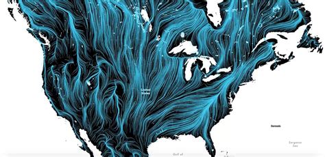 To Survive Climate Change, Animals Will Have to See Cooler Climates. Here's How They'll Do It.