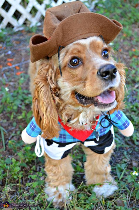 DIY Sheriff Dog Costume | Affordable Halloween Costumes