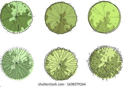 Pin by VA on TEXTURES | Trees top view, Tree plan photoshop, Tree photoshop