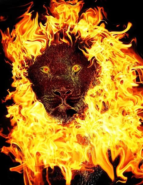 fire artwork | Fire Lion by ~Crescentmoon19 on deviantART | Fire lion, Fire art, Animal drawings