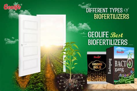 Different Types Of Biofertilizers – Geolife Shop