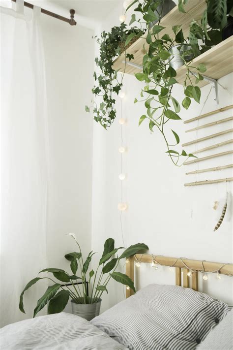 The 9 Best Indoor Plants To Clean Air