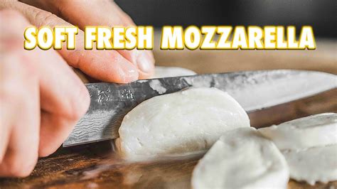 How To Make Fresh Mozzarella Cheese At Home - Retake Again