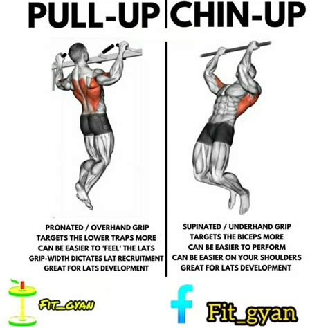 Pull Up Vs Chin Up Muscles Worked