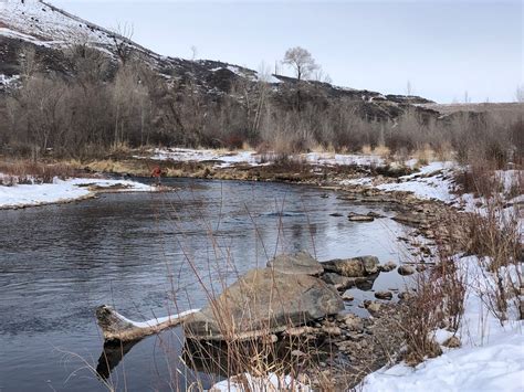 Midge Fishing Miracles - Western Rivers Flyfisher