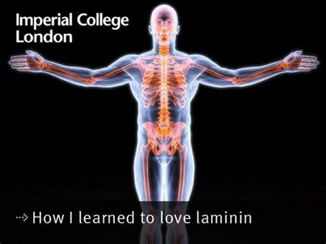 How I learned to love laminin - YouTube