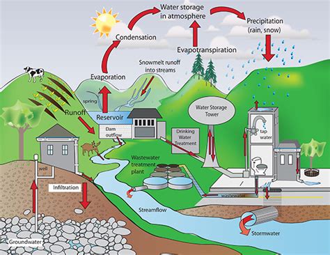 How do humans effect the water cycle? + Example