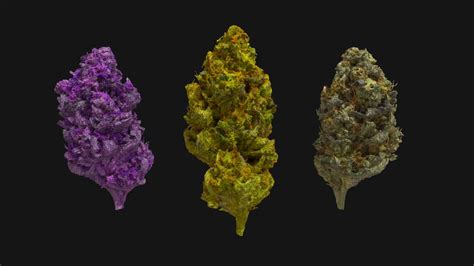 Cannabis Nug HD - Buy Royalty Free 3D model by John Doe (@Johndoe3D) [33d6bbb] - Sketchfab Store