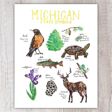 Michigan State Symbols | Brush & Bark