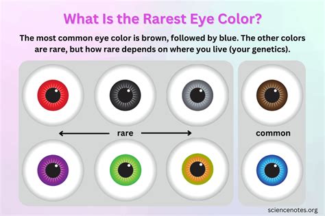 What Is the Rarest Eye Color?