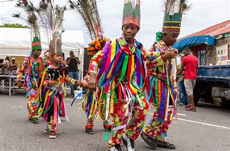 9 Reasons To Visit Nevis | Nevis west indies, Nevis, St kitts and nevis