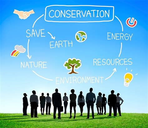 Conservation Environment Earth Ecology Concept | Free Photo - rawpixel