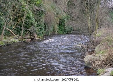 126 Water of leith walkway Images, Stock Photos & Vectors | Shutterstock