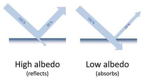 Example of the albedo principle (© KMKG-MRAH) | Download Scientific Diagram