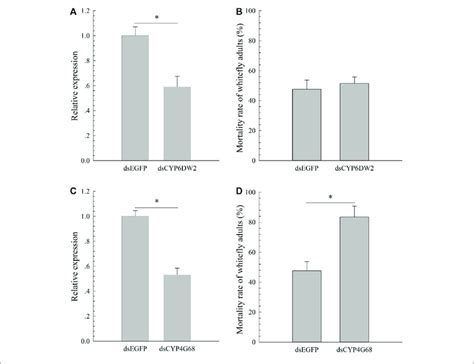 | Effects of dsCYP6DW2 on the expression of CYP6DW2 (A) and effects of ...