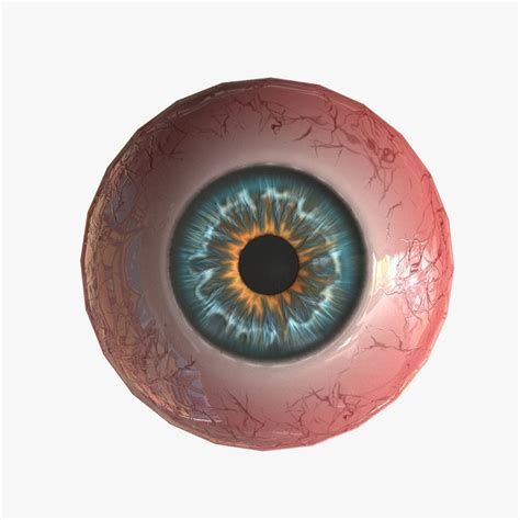 3D Model Realistic Eyeball Generator Eyes - TurboSquid 1663849