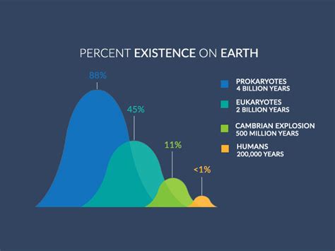 Human Life On Earth Timeline - The Earth Images Revimage.Org