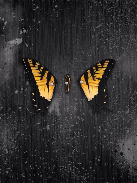 Brand new eyes | Paramore wallpaper, Paramore, Paramore concert