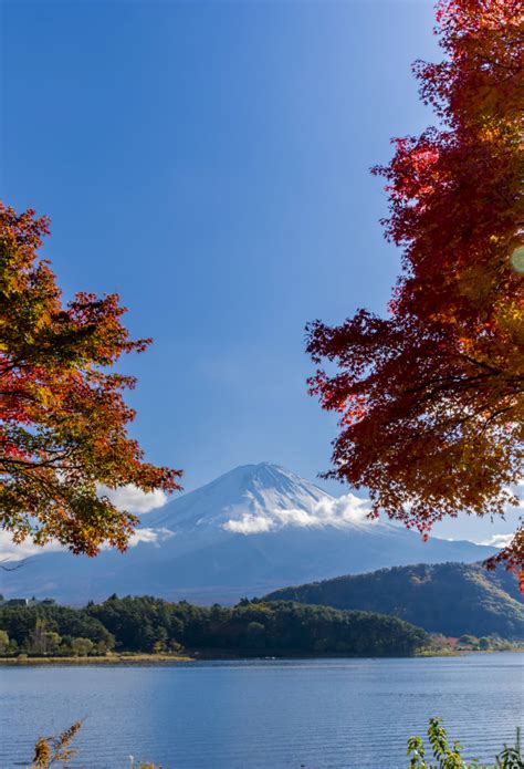 Fuji Five Lakes Area | Yamanashi | Tokai | Destinations | Travel Japan (Japan National Tourism ...