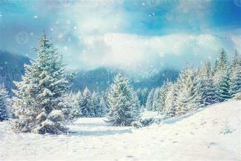 Winter landscape glowing by sunlight. Dramatic wintry scene. 6466001 Stock Photo at Vecteezy