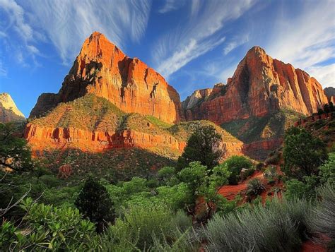 Zion National Park Animals: Exploring the Diverse Wildlife of Utah's ...