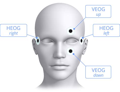 Placement Of Eeg Electrodes