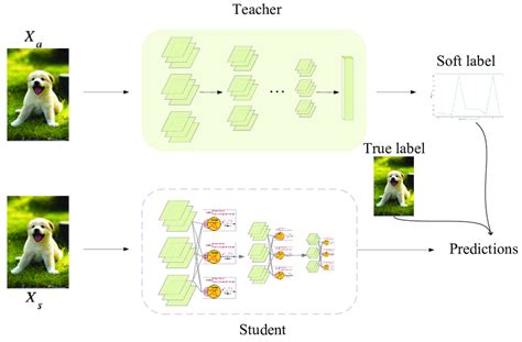 Schematic illustration of distillation training. | Download Scientific ...