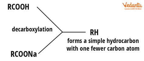 Soda Lime Decarboxylation Important Concepts for JEE Exam Preparation