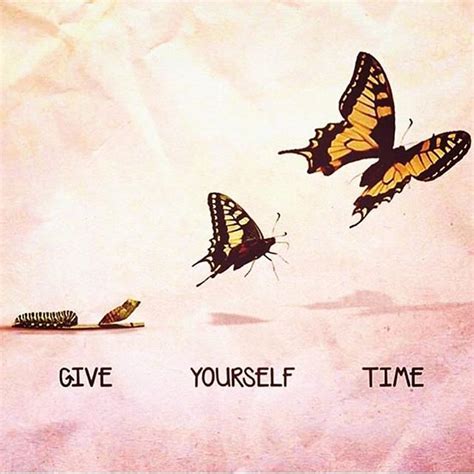 Butterfly Transformation Quotes - ShortQuotes.cc