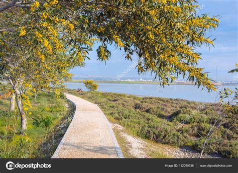 Trail running along Larnaca salt lake — Stock Photo © tuutikka #132080336