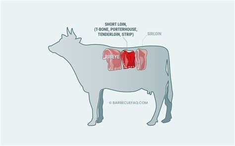 T-Bone vs Ribeye Steak: The Differences Explained - Barbecue FAQ