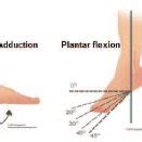 Ankle joint movements | Download Scientific Diagram