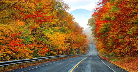 White Mountains Named Best Fall Foliage Destination In USA Today Poll ...