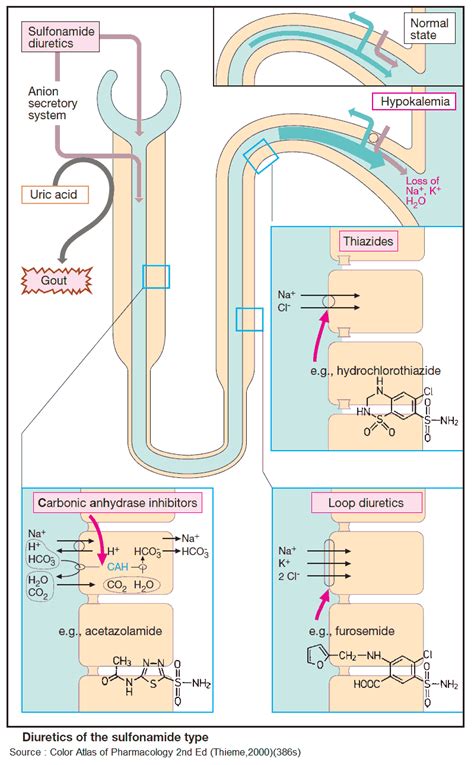 Diuretics – An Overview - Manual of Medicine