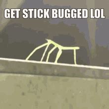 Stick Bug Stick Bugged GIF - Stick Bug Stick Bugged Bug - Discover & Share GIFs