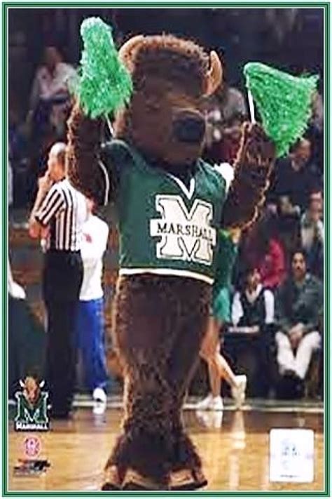 1000+ images about Marshall University on Pinterest | The buffalo, Marshalls and We