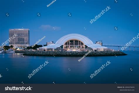 44 Rady Shell Images, Stock Photos & Vectors | Shutterstock