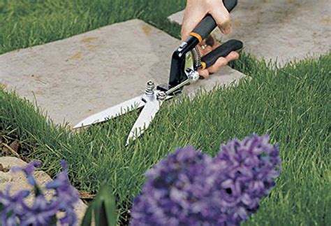 7 Best Grass Shears: Easy Solutions For Edging Dilemmas - Epic Gardening