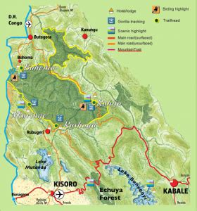 Bwindi Impenetrable National Park- Uganda Gorilla Trekking Tours