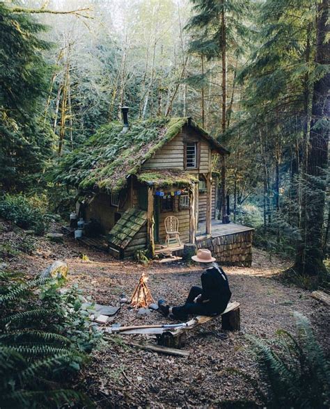 Like: cozy-places | Forest cabin