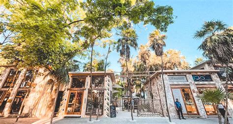 Aldea Zama Tulum: A Complete Neighborhood Guide | Tulum | Mexico