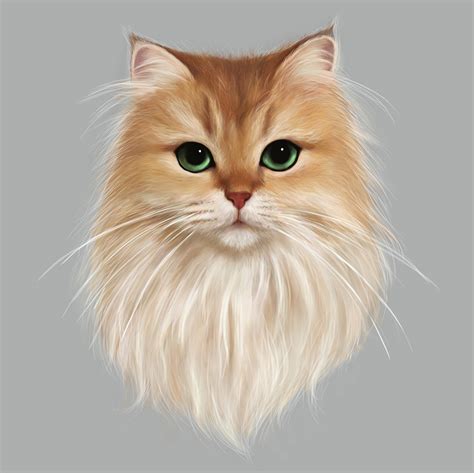 Cat digital painting on Behance