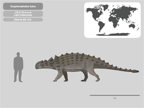 Perfil Euoplocephalus tutus by PaleoHistoric on DeviantArt