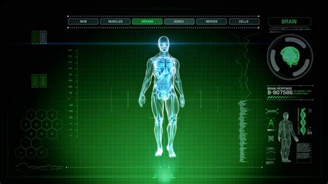 Futuristic Interface Display of Full Body Scan with Human Anatomy of Muscles, Bones and Organs ...