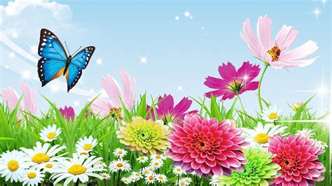 Butterfly Garden Wallpapers - Top Free Butterfly Garden Backgrounds - WallpaperAccess